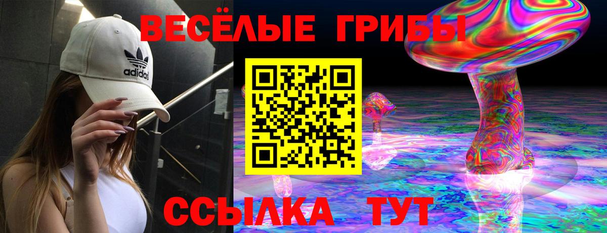 Псилоцибиновые грибы ЛСД  цена наркотик  Гуково  Вход с VPN 